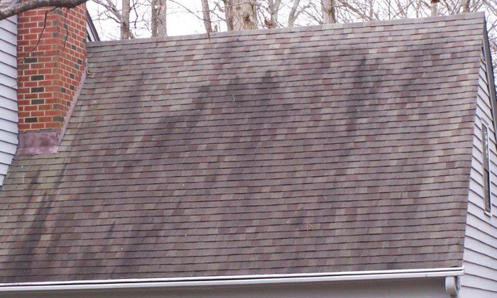 Roof Stains
