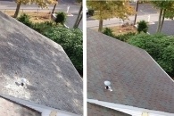 Roof Washing Before and After