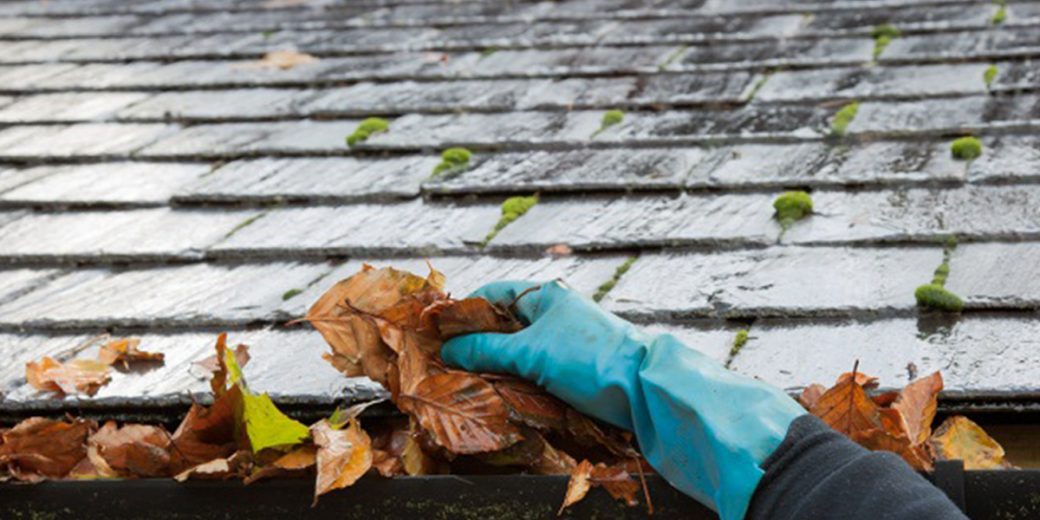 Gutter Cleaning in Sedalia CO