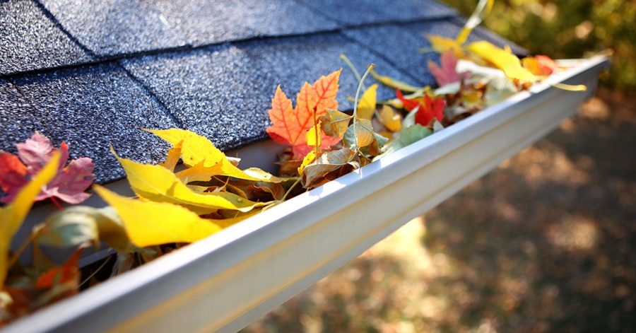 Gutter Cleaning in Houston TX