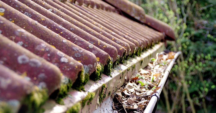 Benefits of Roof Cleaning