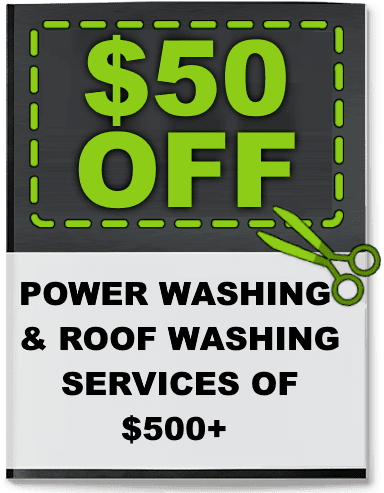 Ned Stevens Gutter Cleaning Coupons