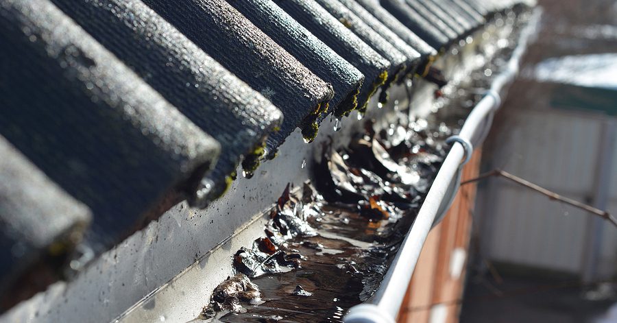 Old leaves and sludge in gutter