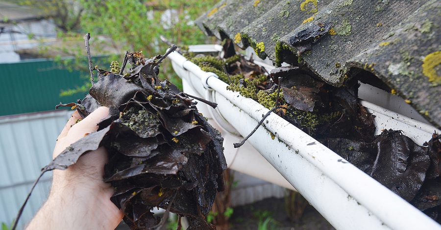 Old leaves and moss in gutters