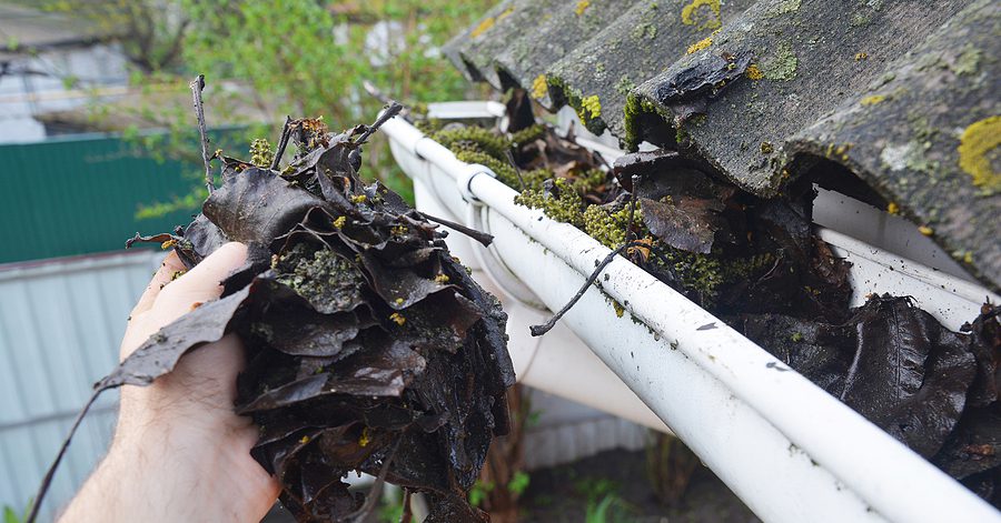 Gutter Cleaning in Eastchester NY