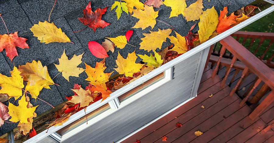 Fall colored leaves on house roof and in gutters