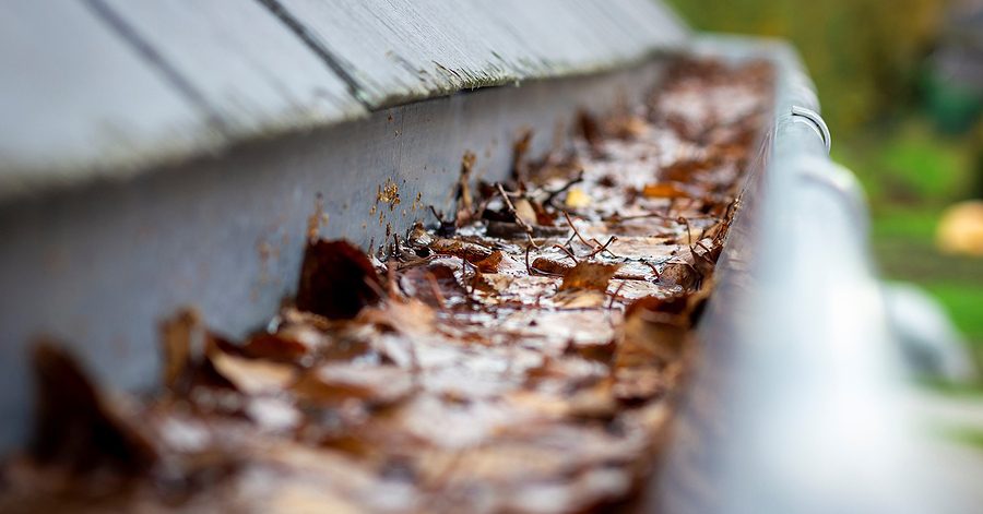 Damp and dirty gutters