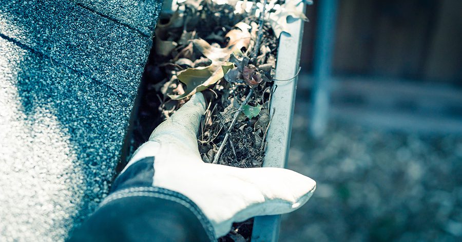 Hand with glove pulling out dirt and leaves from gutter