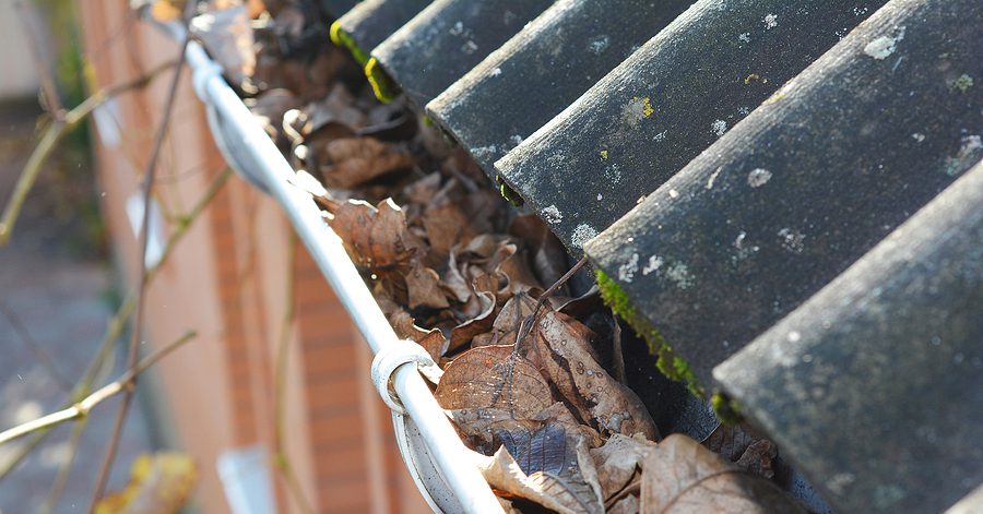 Dried leaves filling gutter