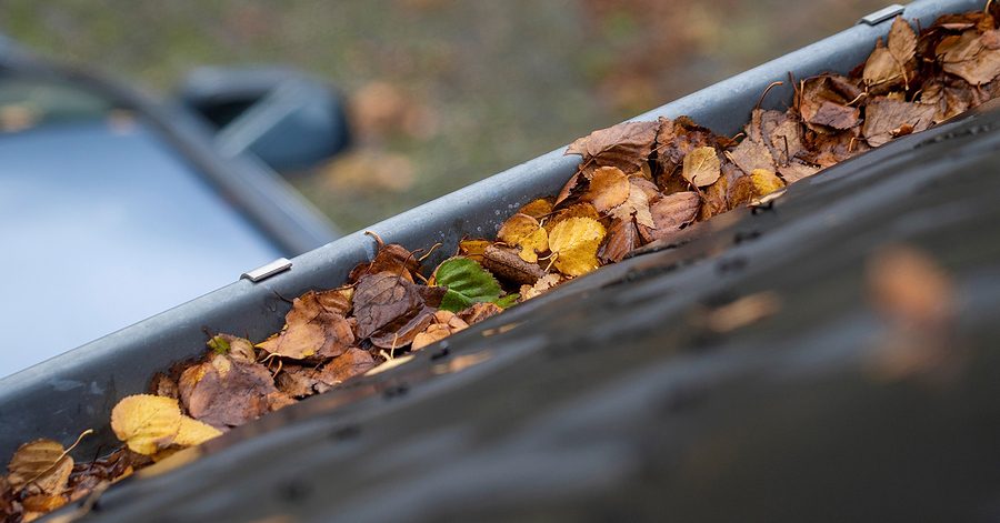 Gutter with leaves piled in it