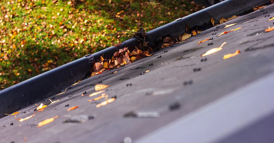 Leaves and sticks in gutter