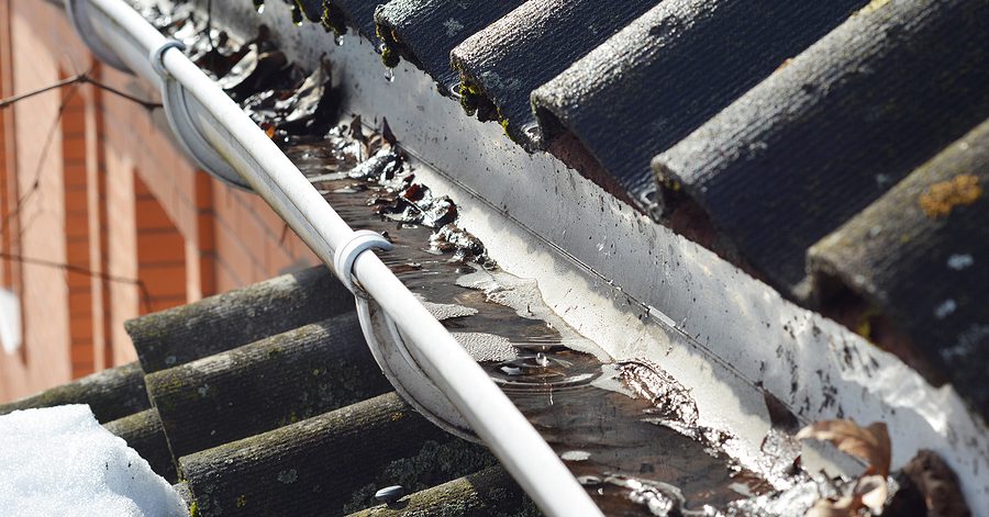 Dirty water and leaves in gutter