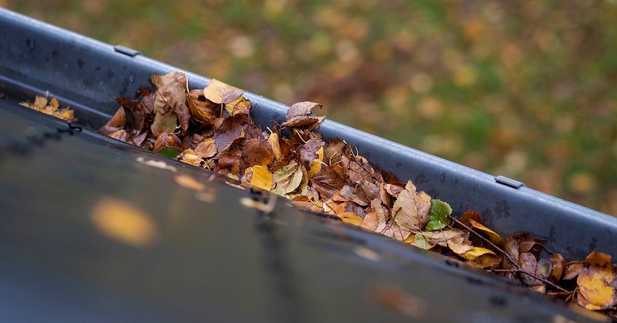 Piled leaves in gutter