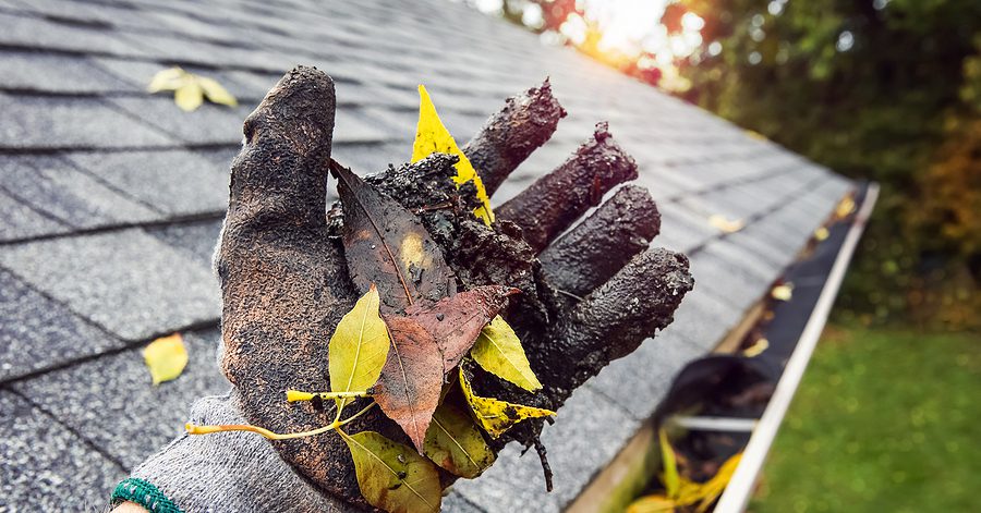 gutter cleaning